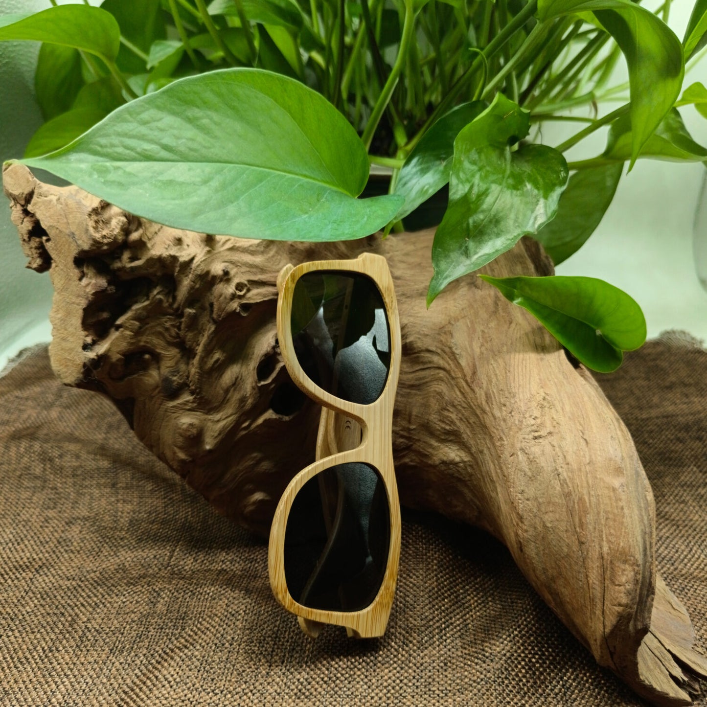 gafas de bambu livegens