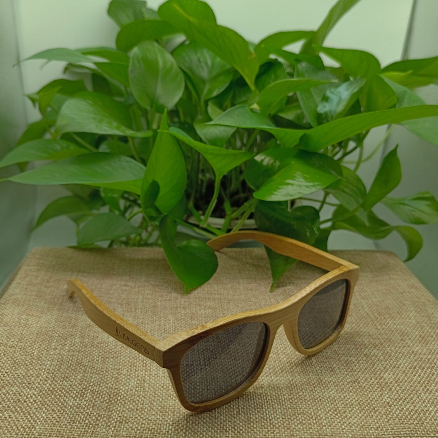 gafas de bambu livegens
