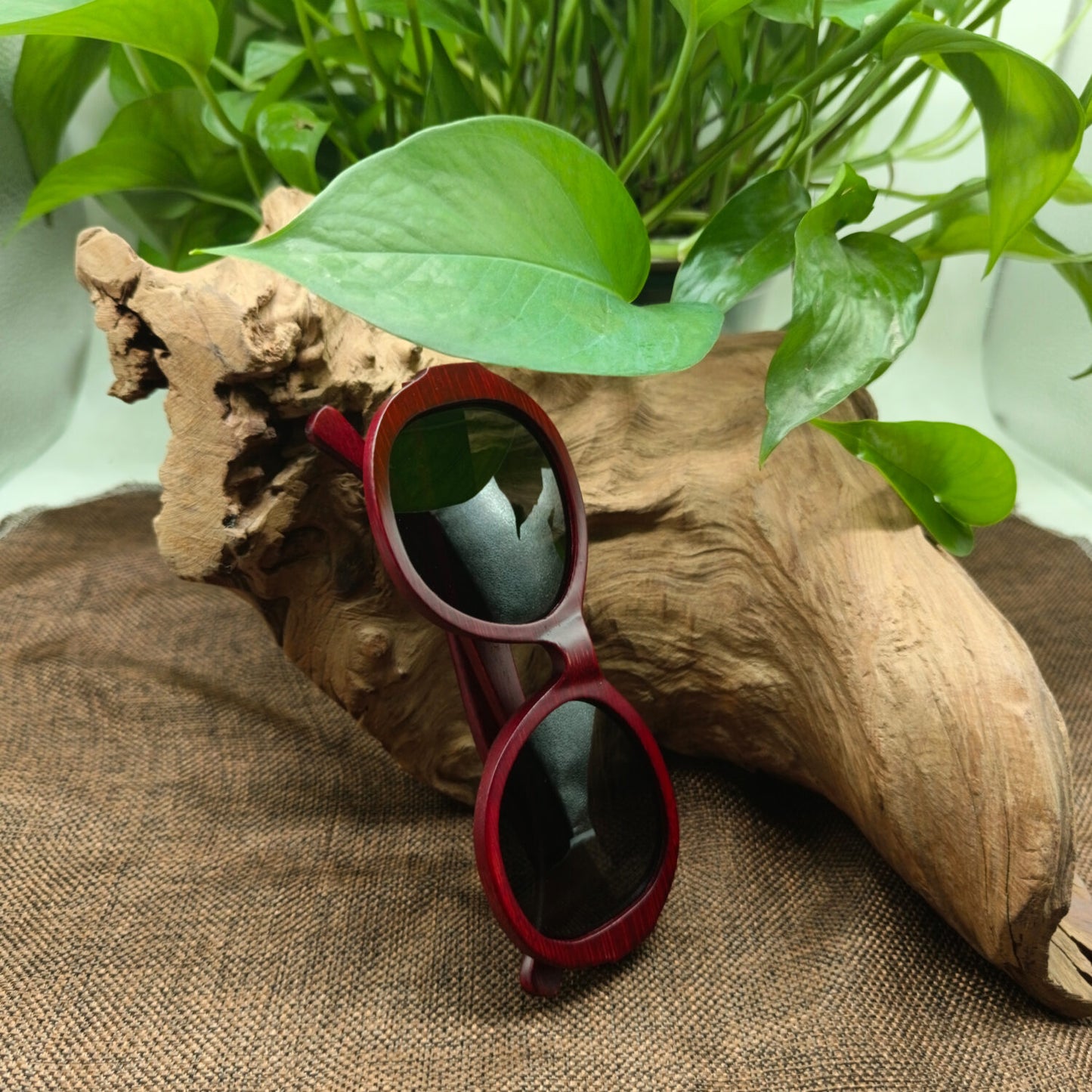 gafas de bambu livegens