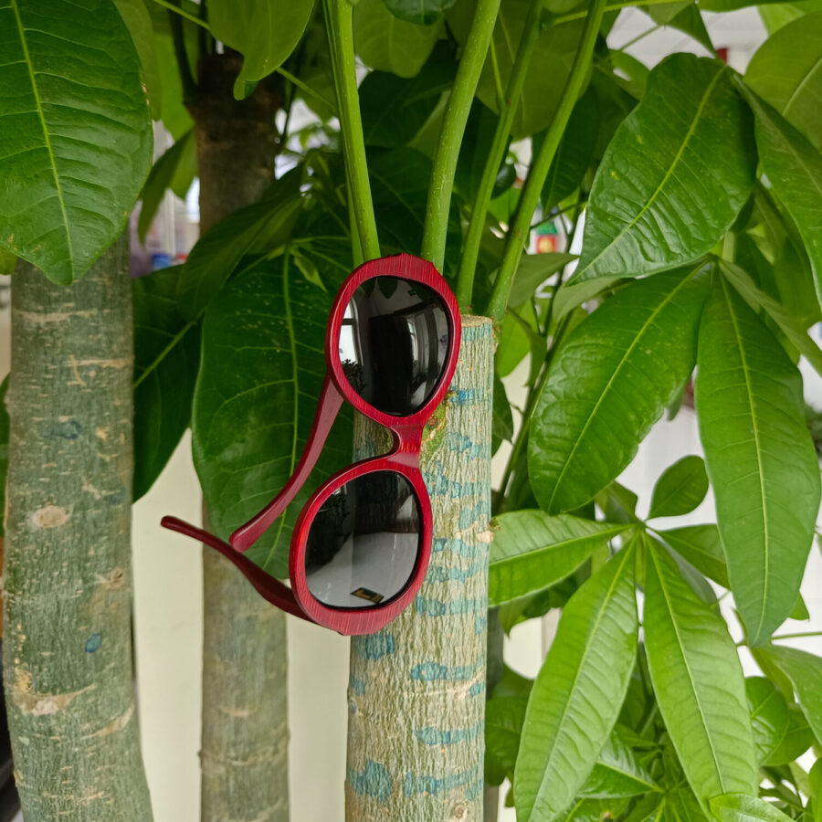 gafas de bambu livegens